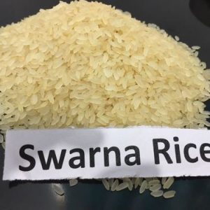 Common Swarna Rice