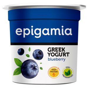 Epigamia Blueberry Greek Yogurt 90 g