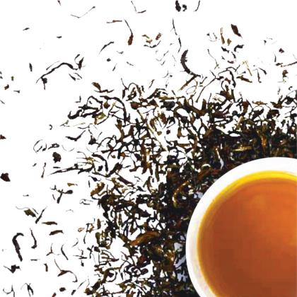 Lipton Darjeeling Leaf Tea 250 g (Carton) - Image 4