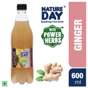 Nature Day Ginger Drink 600 ml