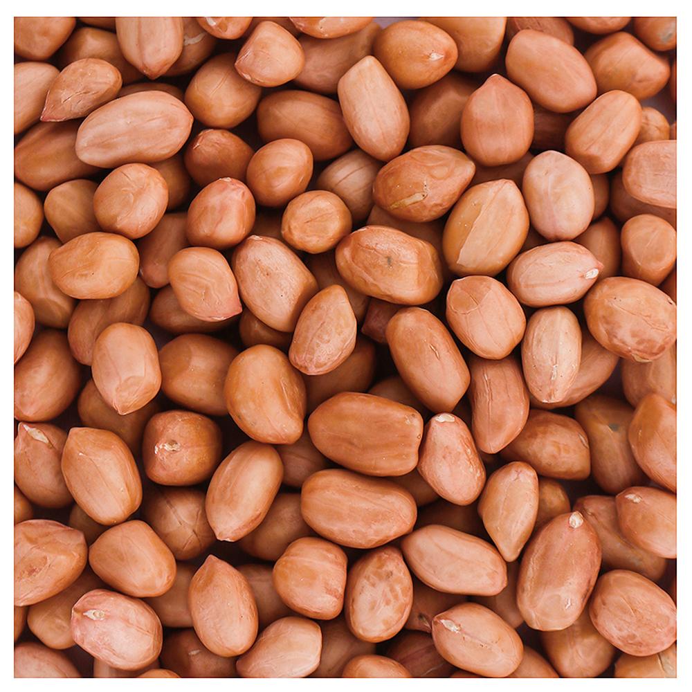 Organic Tattva Raw Peanuts / Groundnuts 500 g - Image 3